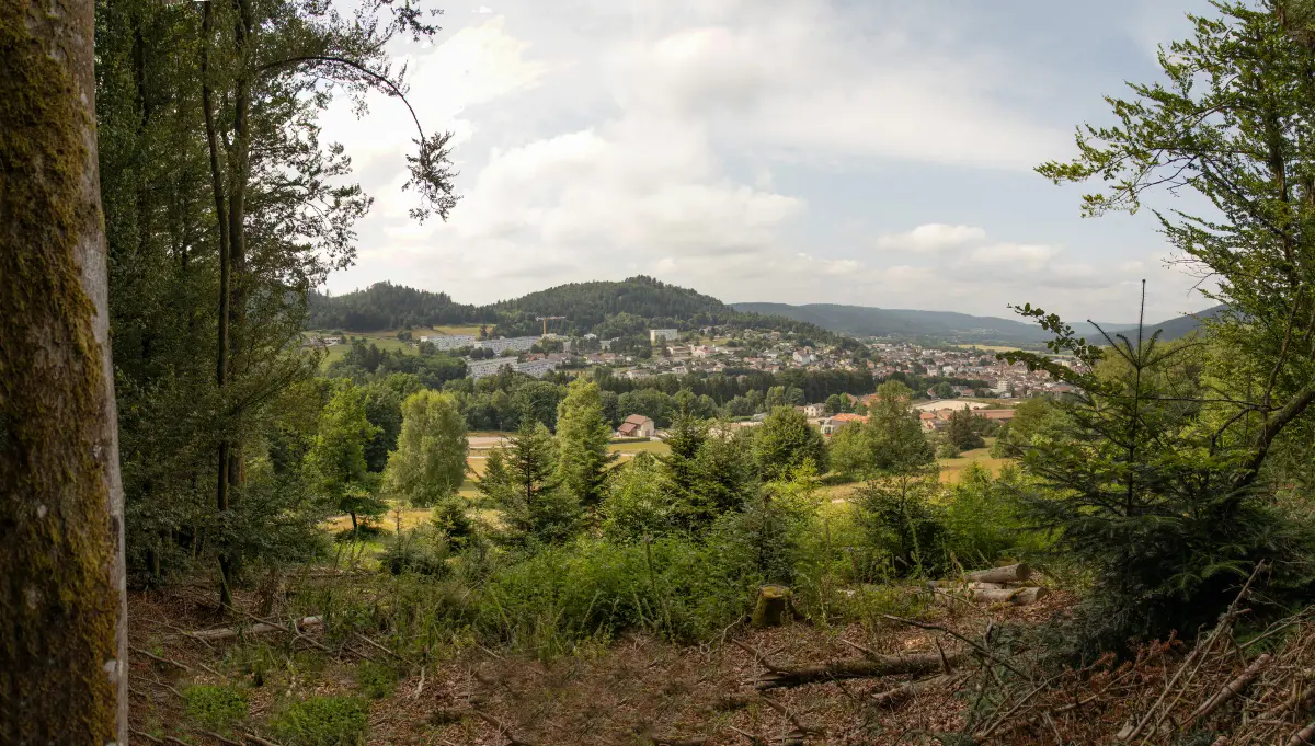Panorama sur la vallée et les forêts vosgiennes